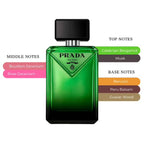 Paradigme EDP Spray For Men 3.3oz/100ml