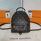 LV Reverse Monogram Canvas Palm Springs Black Mini Backpack